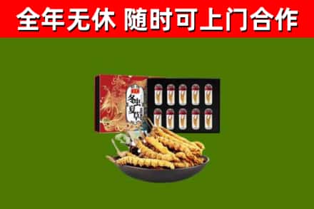 哈巴河县回收冬虫夏草价格